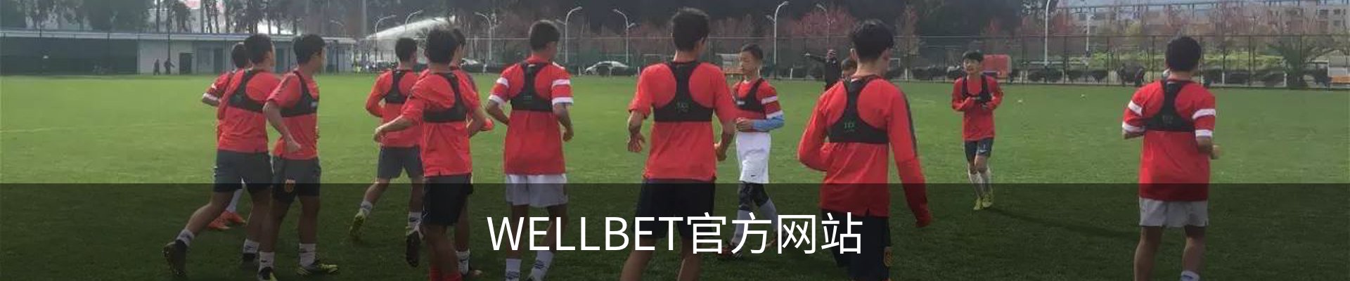 WELLBET - 官方网站